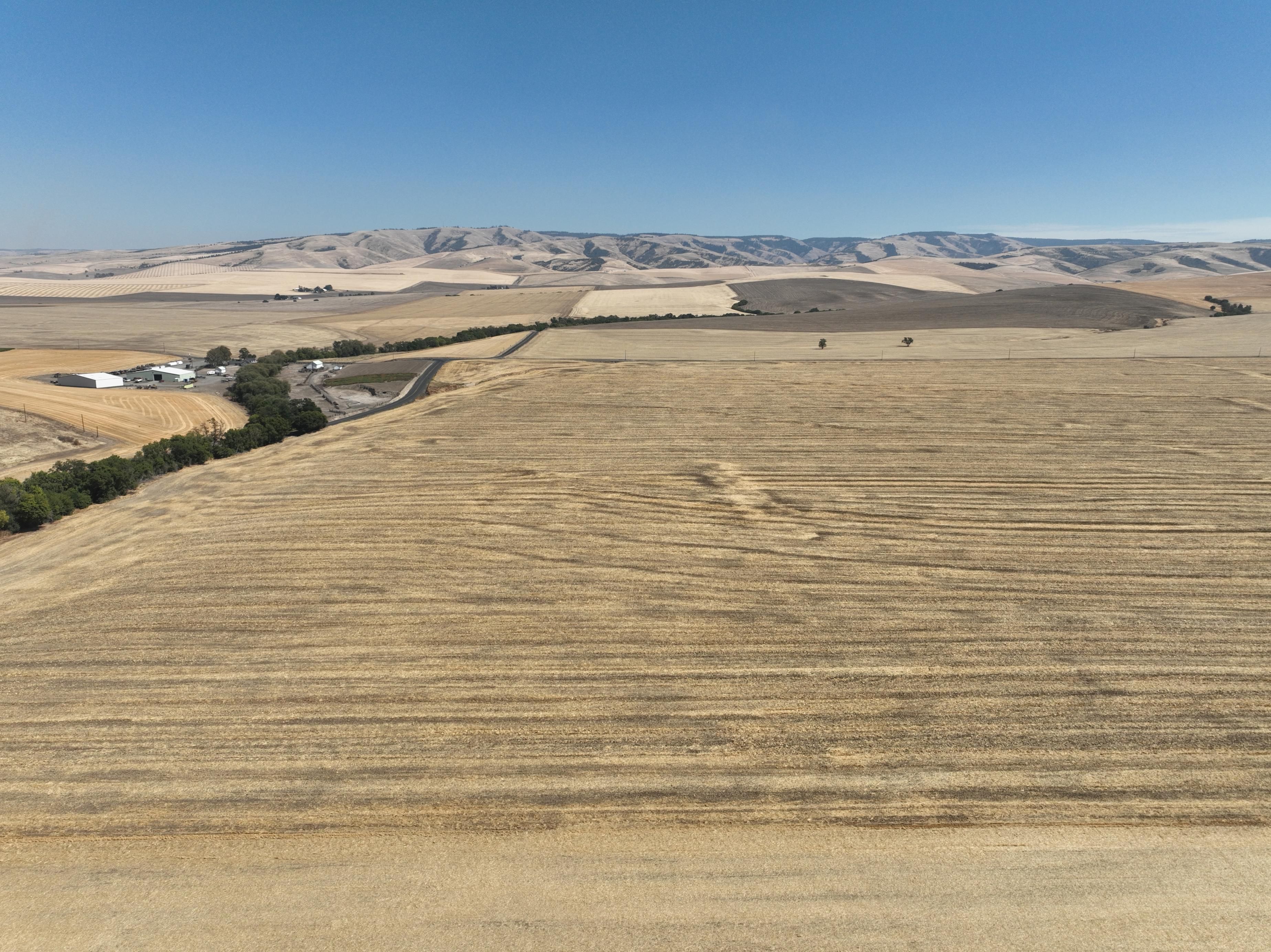 Listing Photo: Umatilla-County-Oregon-Non-Irrigtated-794-Acres (2)